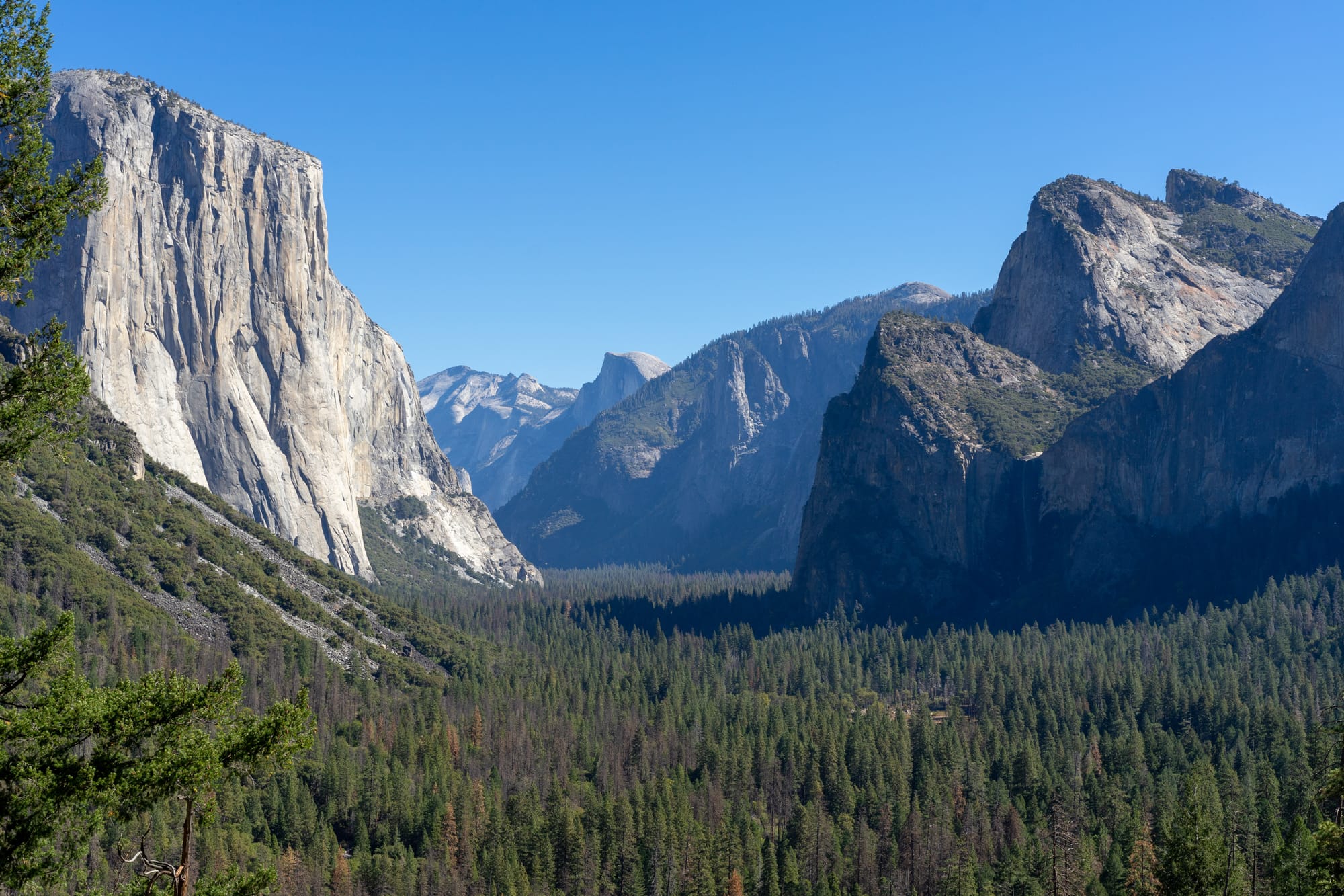 USA 2018 - Teil 3: Yosemite & Sequoia